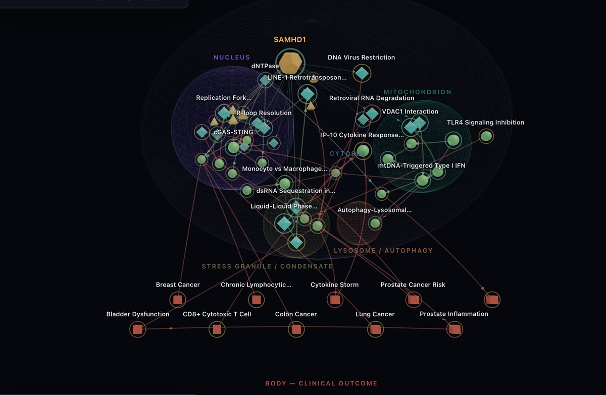 The SAMHD1 Function Atlas &mdash; 3D map of 54 functions