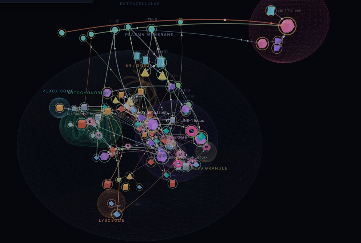 The Immune Atlas &mdash; 3D innate immune signalling map